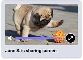 screenshare-test
